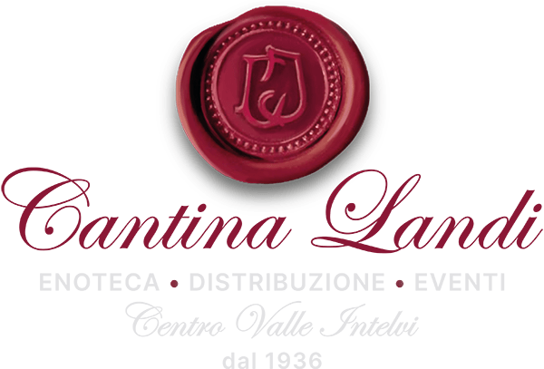 Logo Landi completo bianco 2024